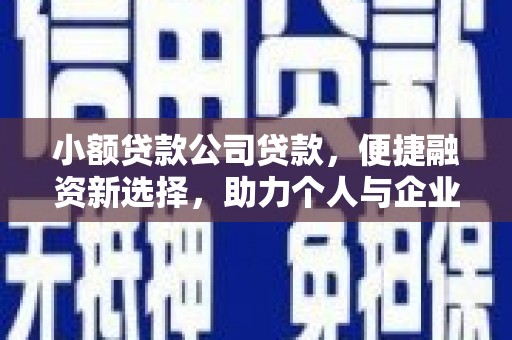 礼县小额贷款公司贷款，便捷融资新选择，助力个人与企业成长