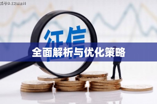 礼县全面解析与优化策略