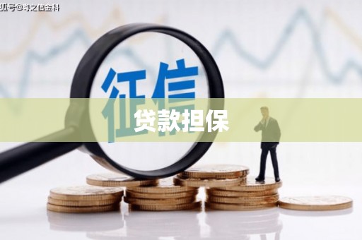 礼县贷款担保