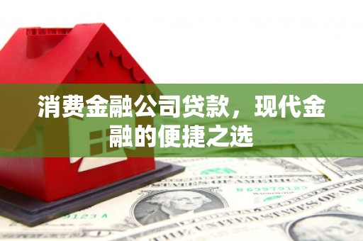 礼县消费金融公司贷款，现代金融的便捷之选
