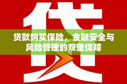 礼县贷款购买保险，金融安全与风险管理的双重保障