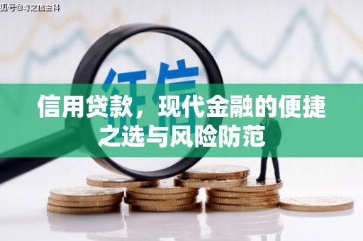 礼县信用贷款，现代金融的便捷之选与风险防范