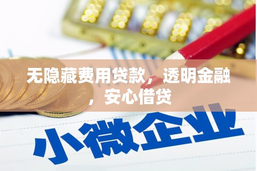 礼县无隐藏费用贷款，透明金融，安心借贷