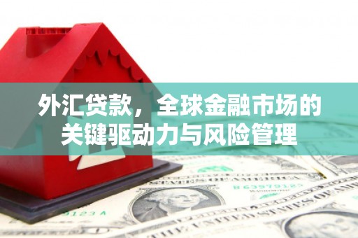 礼县外汇贷款，全球金融市场的关键驱动力与风险管理