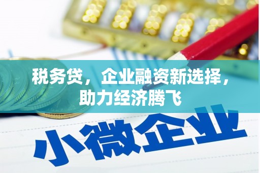 礼县税务贷，企业融资新选择，助力经济腾飞