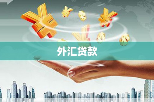 礼县外汇贷款