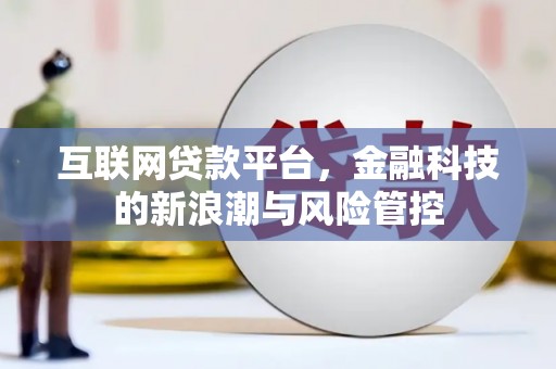 礼县互联网贷款平台，金融科技的新浪潮与风险管控