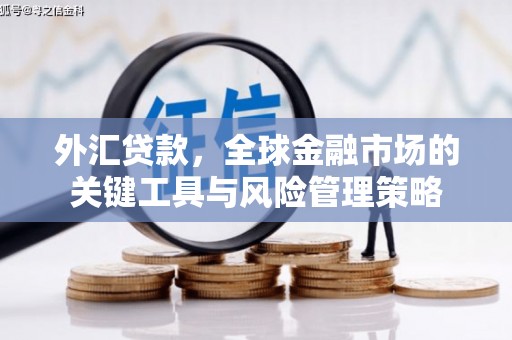 礼县外汇贷款，全球金融市场的关键工具与风险管理策略