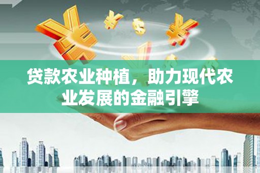礼县贷款农业种植，助力现代农业发展的金融引擎