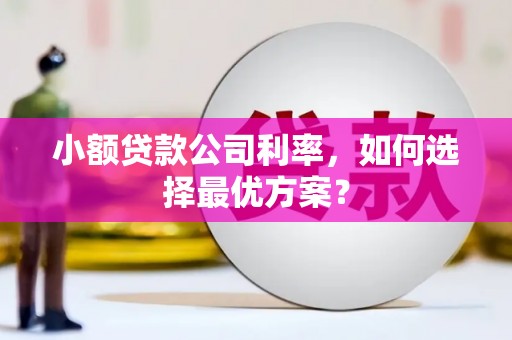 礼县小额贷款公司利率，如何选择最优方案？