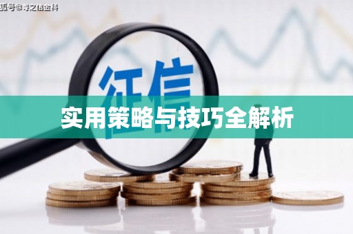 礼县实用策略与技巧全解析