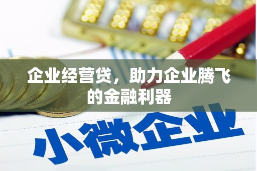 礼县企业经营贷，助力企业腾飞的金融利器