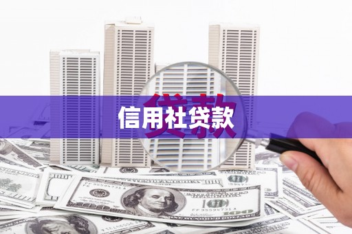 礼县信用社贷款
