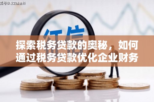 礼县探索税务贷款的奥秘，如何通过税务贷款优化企业财务
