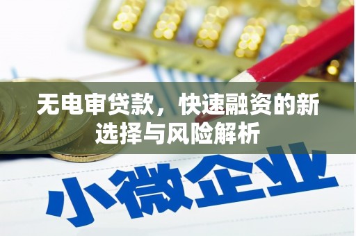 礼县无电审贷款，快速融资的新选择与风险解析