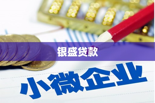 礼县银盛贷款
