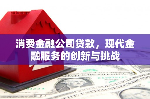礼县消费金融公司贷款，现代金融服务的创新与挑战
