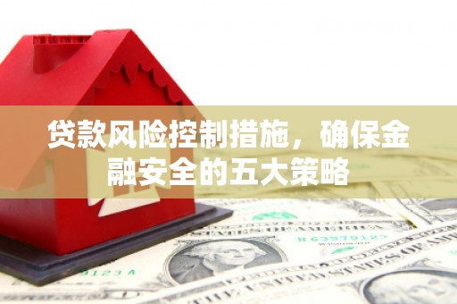 礼县贷款风险控制措施，确保金融安全的五大策略