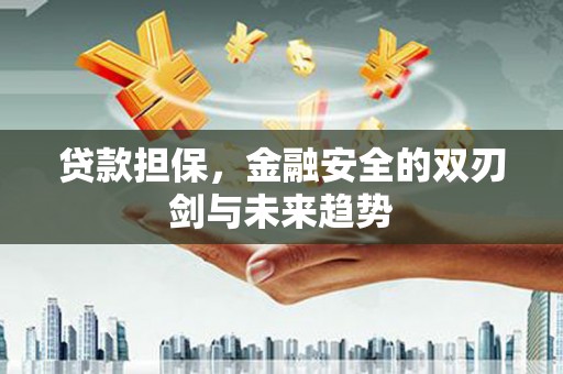 礼县贷款担保，金融安全的双刃剑与未来趋势