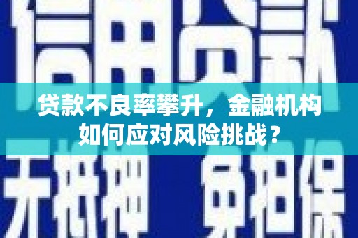 礼县贷款不良率攀升，金融机构如何应对风险挑战？