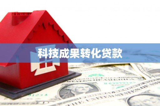 礼县科技成果转化贷款