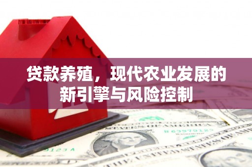 礼县贷款养殖，现代农业发展的新引擎与风险控制