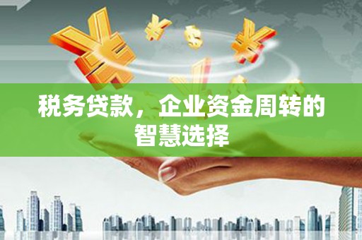 礼县税务贷款，企业资金周转的智慧选择