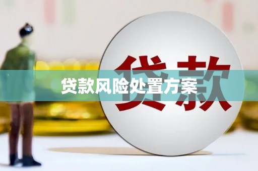 礼县贷款风险处置方案