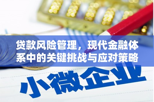 礼县贷款风险管理，现代金融体系中的关键挑战与应对策略