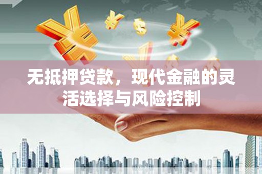 礼县无抵押贷款，现代金融的灵活选择与风险控制
