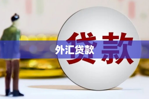 礼县外汇贷款