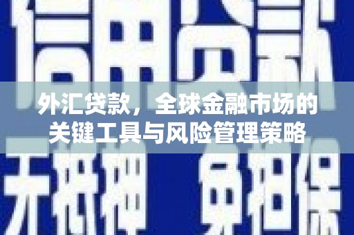 礼县外汇贷款，全球金融市场的关键工具与风险管理策略