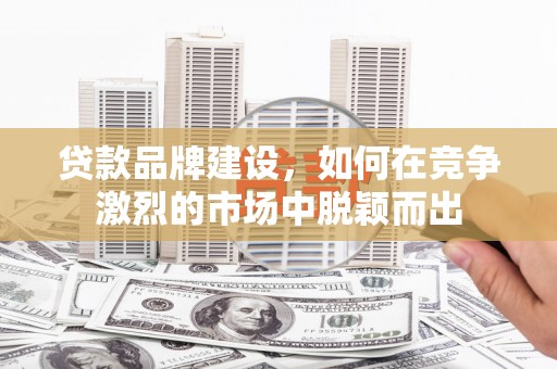 礼县贷款品牌建设，如何在竞争激烈的市场中脱颖而出