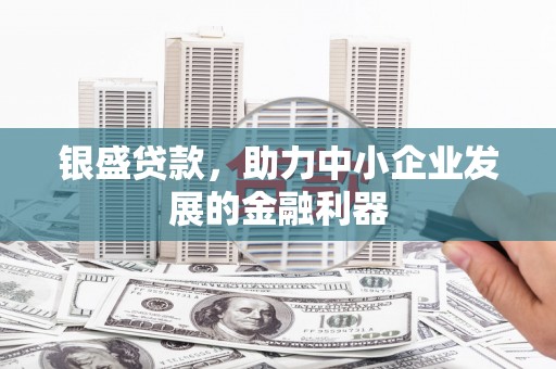礼县银盛贷款，助力中小企业发展的金融利器