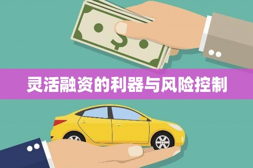 礼县灵活融资的利器与风险控制