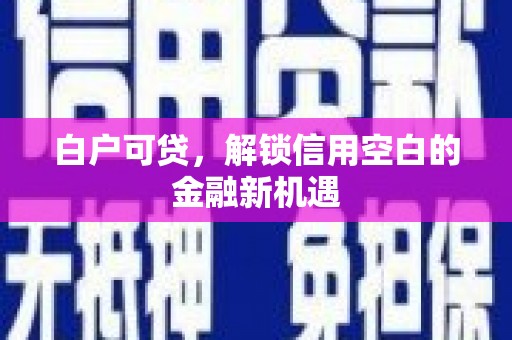 礼县白户可贷，解锁信用空白的金融新机遇