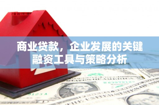 礼县商业贷款，企业发展的关键融资工具与策略分析