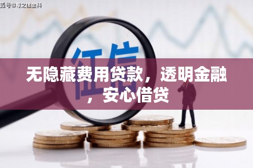 礼县无隐藏费用贷款，透明金融，安心借贷