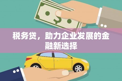 礼县税务贷，助力企业发展的金融新选择