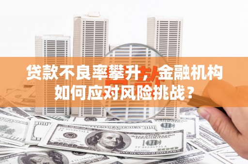 礼县贷款不良率攀升，金融机构如何应对风险挑战？