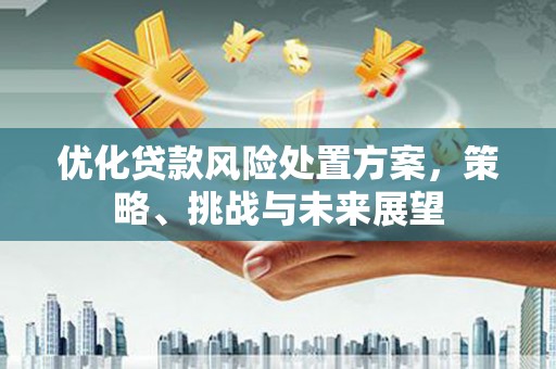 礼县优化贷款风险处置方案，策略、挑战与未来展望