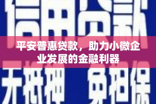 礼县平安普惠贷款，助力小微企业发展的金融利器