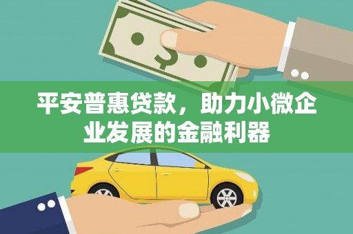 礼县平安普惠贷款，助力小微企业发展的金融利器