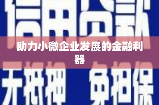 礼县助力小微企业发展的金融利器