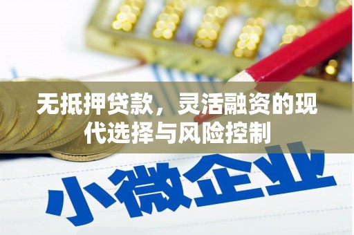 礼县无抵押贷款，灵活融资的现代选择与风险控制