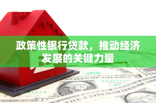 礼县政策性银行贷款，推动经济发展的关键力量