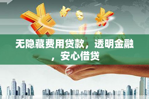 礼县无隐藏费用贷款，透明金融，安心借贷