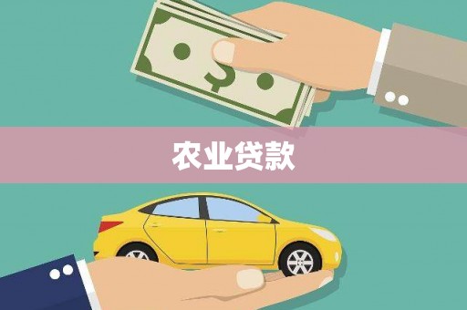 礼县农业贷款