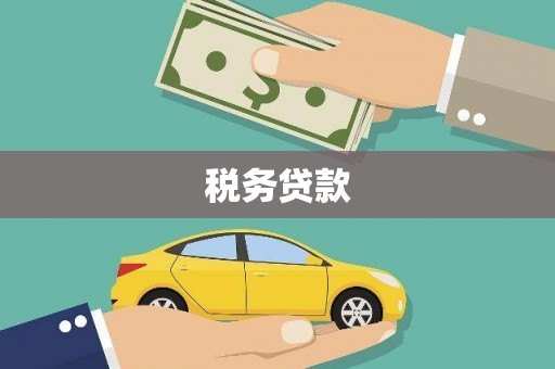 礼县税务贷款