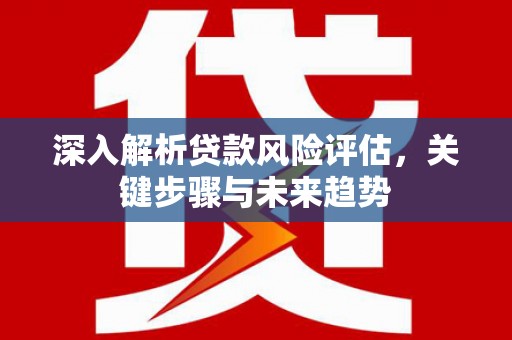 礼县深入解析贷款风险评估，关键步骤与未来趋势